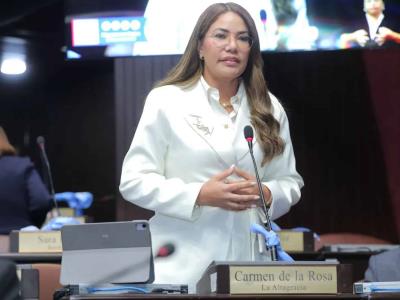 Diputada Carmen de la Rosa propone crear Colegio de Farmacéuticos
