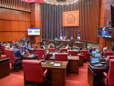Senado aprueba en primera discusión nuevo Código Penal sin causales