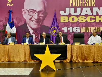 PLD analiza decisión del TSE sobre su consulta ciudadana