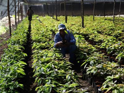 Abinader da 143 pensiones especiales a profesionales agropecuarios